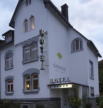 Ginkgo Hotel Оберурзель Экстерьер фото